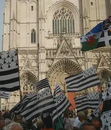 /images/tich/Breizh-manif-nantes-gwenn-ha-du.webp