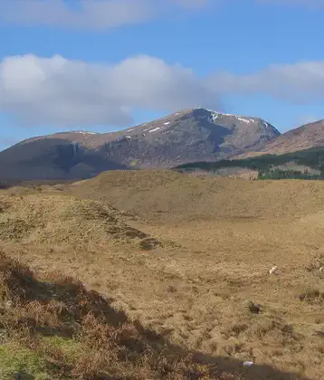 /images/tich/Hummocky_terrain,_Dalrigh_-_geograph.org.uk_-_358154.webp