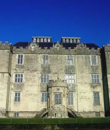 /images/tich/portumna_castle_wild_geese_muesum.webp